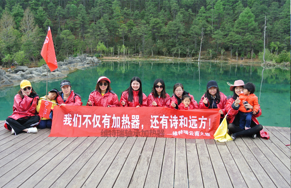 轴承加热器 轴承加热器